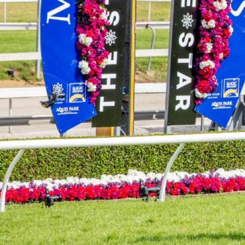 The Star Gold Coast Magic Millions Raceday 2022: Everything you need to know!