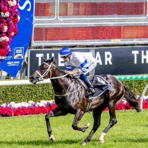 The Star Gold Coast Magic Millions Raceday 2022: Everything you need to know!