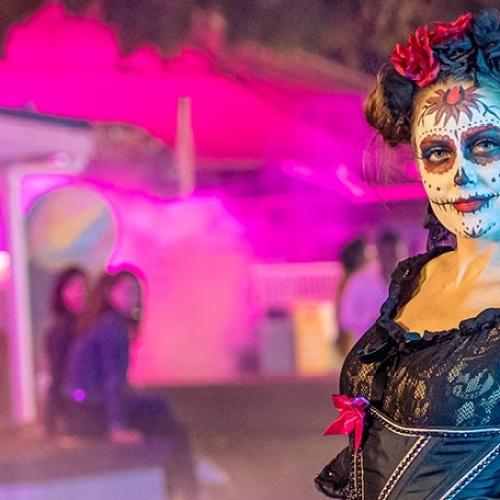 WATCH: Enjoy a festival of culture and colour at Sea World Carnivale!