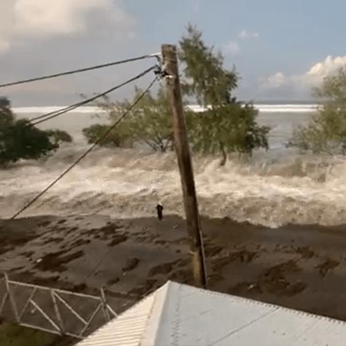 Aust flight to assess Tonga tsunami damage
