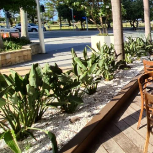 Businesses beg for mandate review as shocking mental health toll revealed