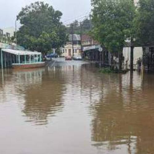 Tweed Council seeks community input on flood protection plan