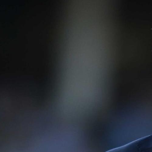 Details on how to attend Shane Warne’s public memorial revealed
