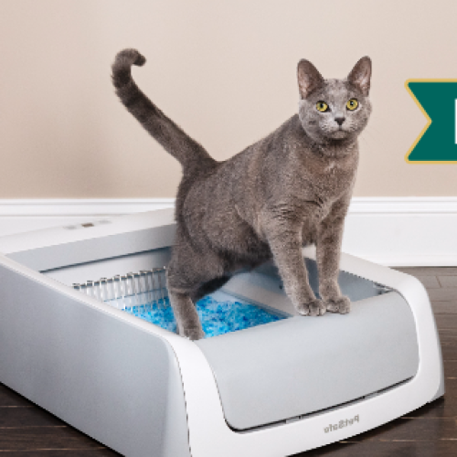 Congratulations to the winners of a ScoopFree® Self-Cleaning Litter Box