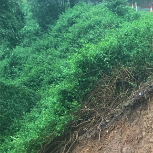 Massive landslide forces closure of Gold Coast Hinterland road