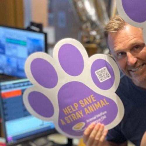 Gold Coasters urged to support AWLQ’s Stray Animals Day campaign
