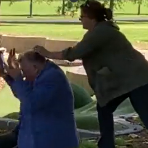 WATCH: Craig Kelly gets egged at United Australia Party event