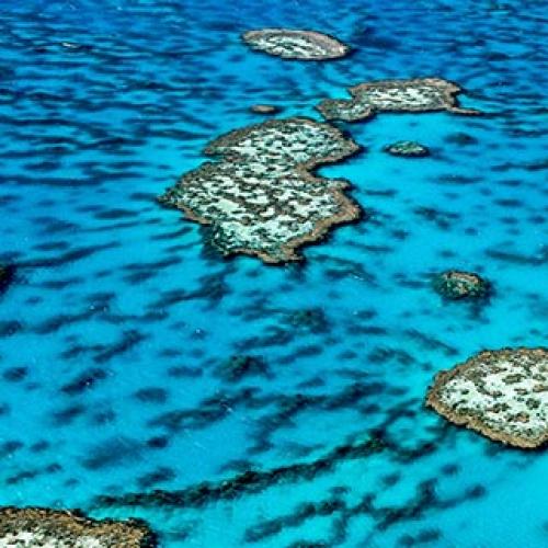 Conservation on Labor’s campaign agenda