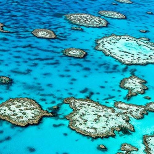 Conservation on Labor’s campaign agenda