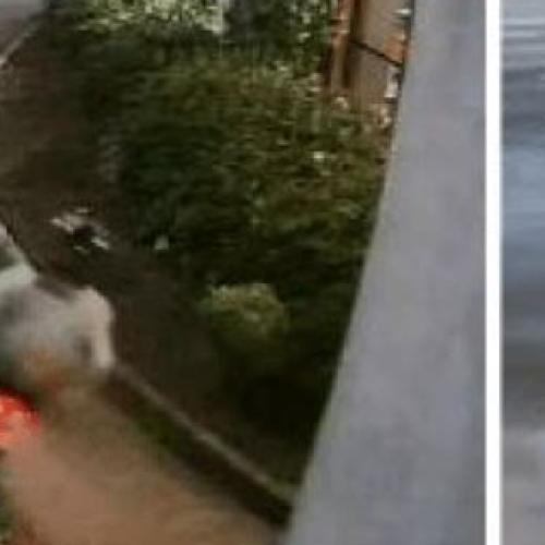 Three fast-food outlets robbed by pair on motorbike