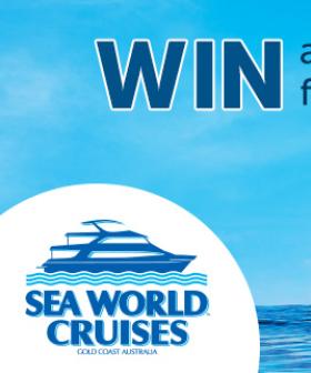 Win a whale watching private charter for you and 30 friends!