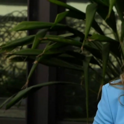 Qld Premier apologises for taking boyfriend to Olympics meeting