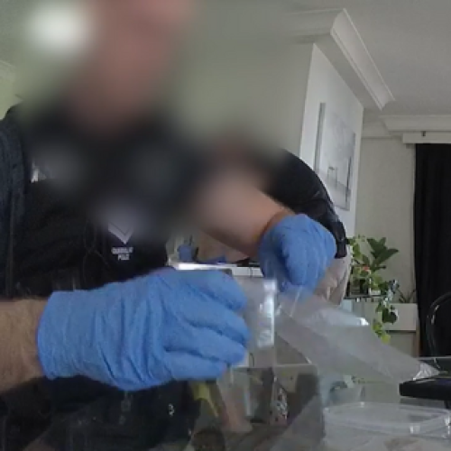 WATCH: Alleged GC bikie arrested on over 100 drug charges