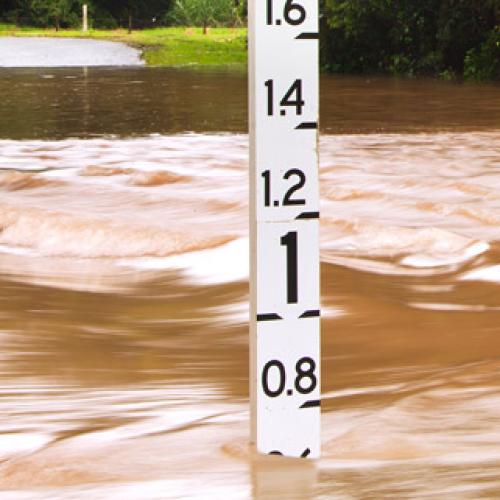 NSW schools close as residents flee floods