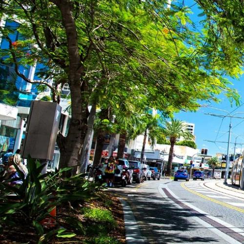Help shape the Gold Coast’s future transport strategy