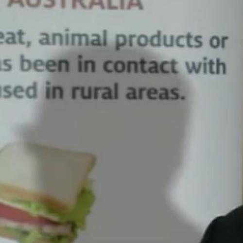 Foot and mouth fragments detected in Vic