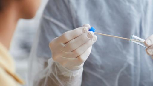 Queensland records first case of deadly bird flu