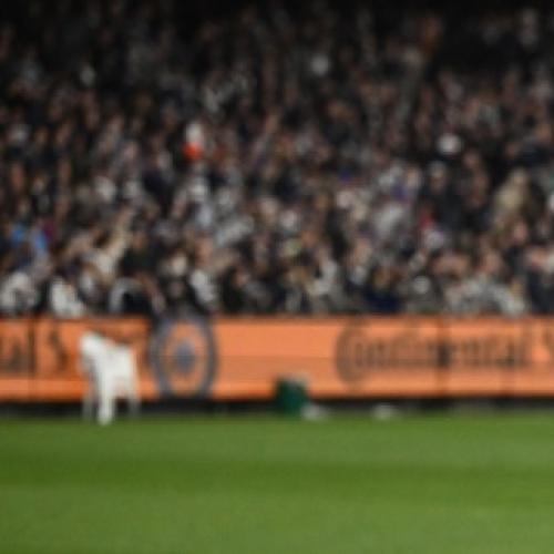 Injured Cat Holmes to miss AFL grand final