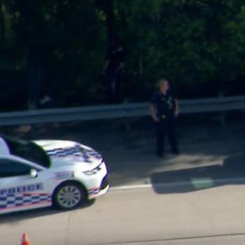 Police chase comes to end on M1 causing traffic nightmare