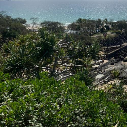 Rare opportunity to explore one of Gold Coast’s hidden gems