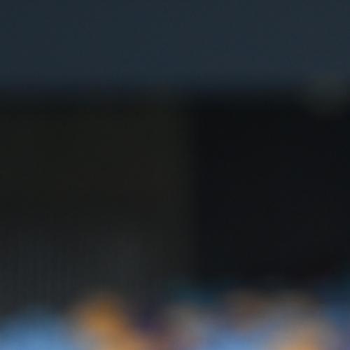 Tribunal clears Lions’ Berry for prelim