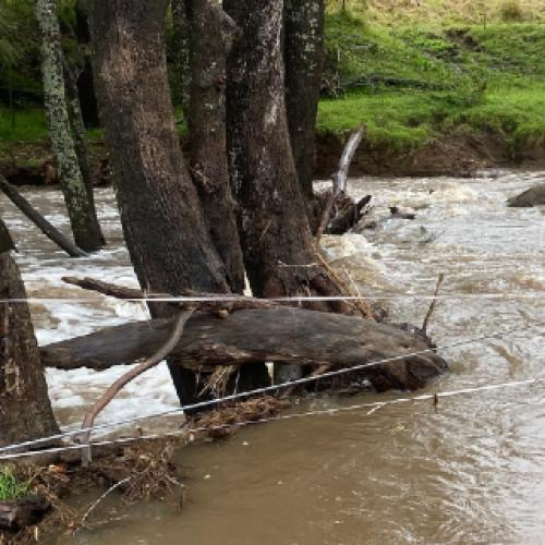 Young boy swept away in floods found dead