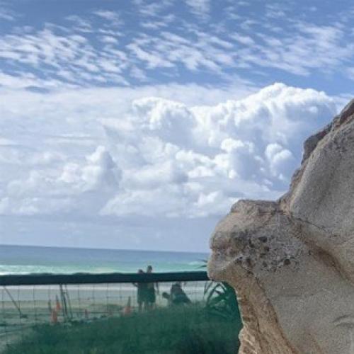 WATCH: Swell Sculpture Festival celebrates 20 years