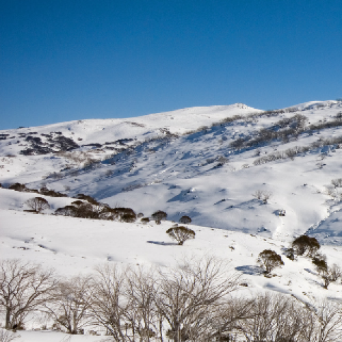 Body found in extensive search for missing skier in NSW