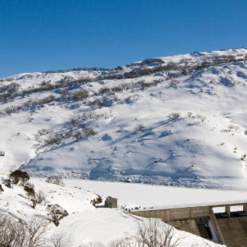 Body found in extensive search for missing skier in NSW