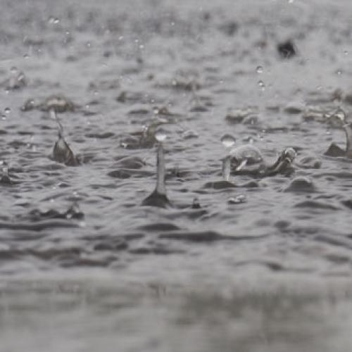 Two more die in NSW floods amid deluge