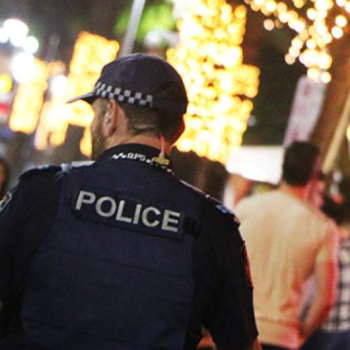 Mother charged, banned from Surfers after punching cop in the head