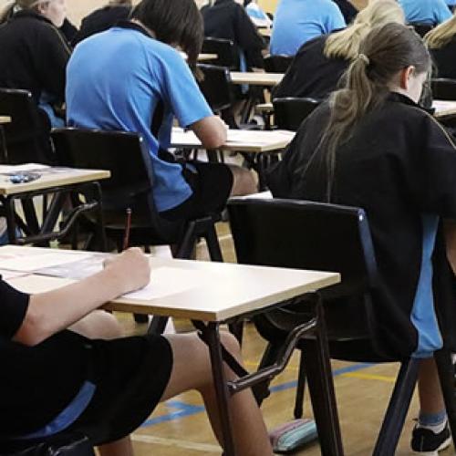 NAPLAN steady but wide gaps remain