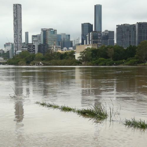 Flood alerts failed Brisbane residents