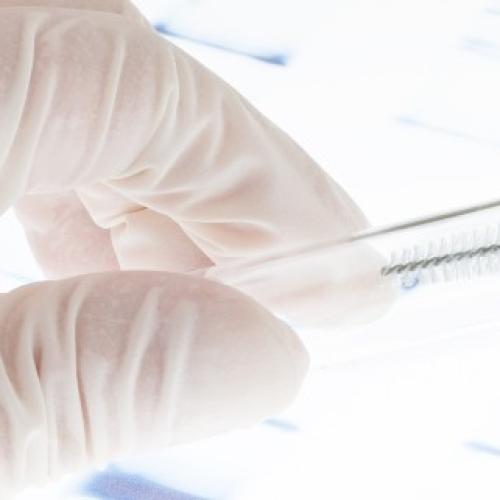 DNA evidence ‘not fully tested’ in Qld