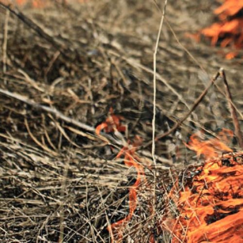 Bushfire burning in Tallebudgera Valley, smoke warning issued