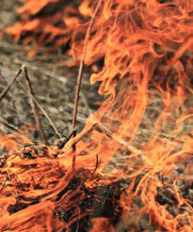 Smoke alert for Gold Coast hinterland amid planned burn