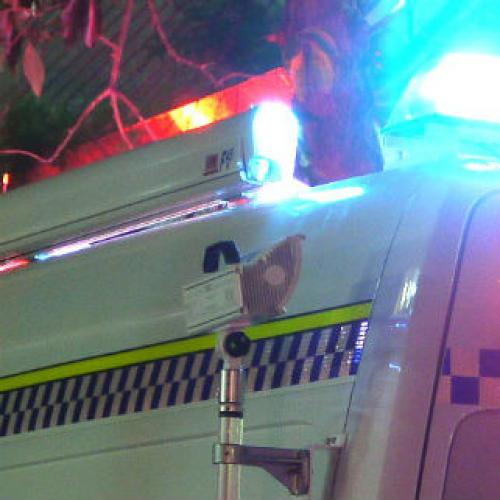 Teenage boy stabbed to death at Royal Easter Show