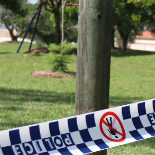 Toddler dies after NSW dog attack