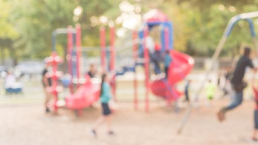 Charges laid after children allegedly touched through school fence