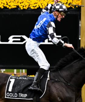 Emily Jade Reveals Funniest Horse Names Ever!