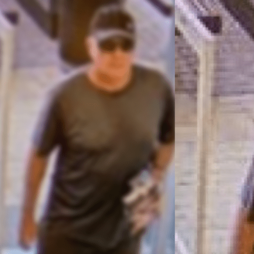 Man exposes himself to two children at Gold Coast food court