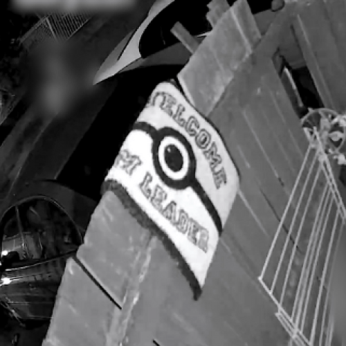 WATCH: Duo threatened with knife, gun in horrific Logan invasion