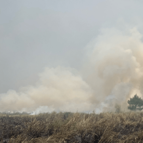 SMOKE ALERT | Waterbombing aircraft called in to battle Gold Coast grass fire