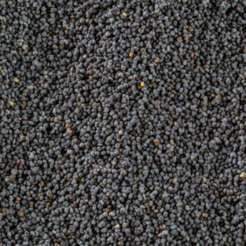 FOOD RECALL: Severe poisoning hazard in poppy seeds nationally