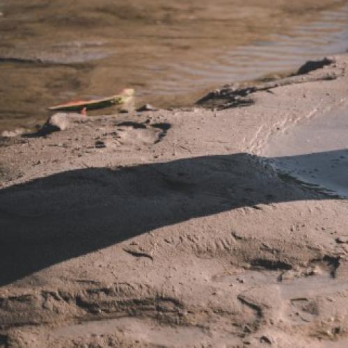 Duo rescued after getting trapped in mud on northern Gold Coast