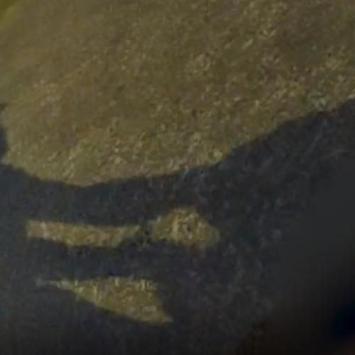 WATCH: Man brought down by cops after being busted with knife