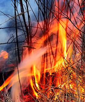 Smoke alert as crews begin planned burn on South Stradbroke