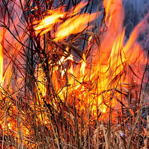 Raging grass fire brought under control