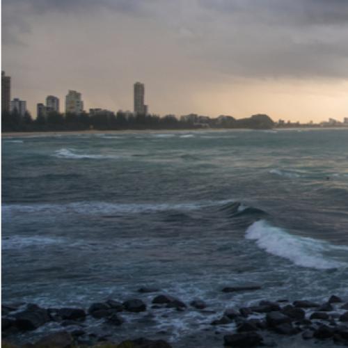 Shark nets removed from Coast beaches ahead of wild weather