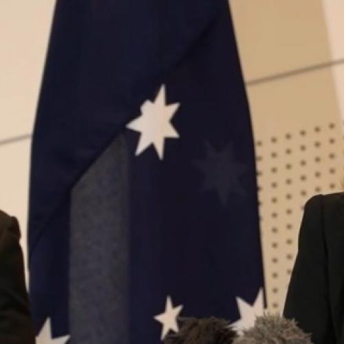 Qld forensic staff stood down amid inquiry